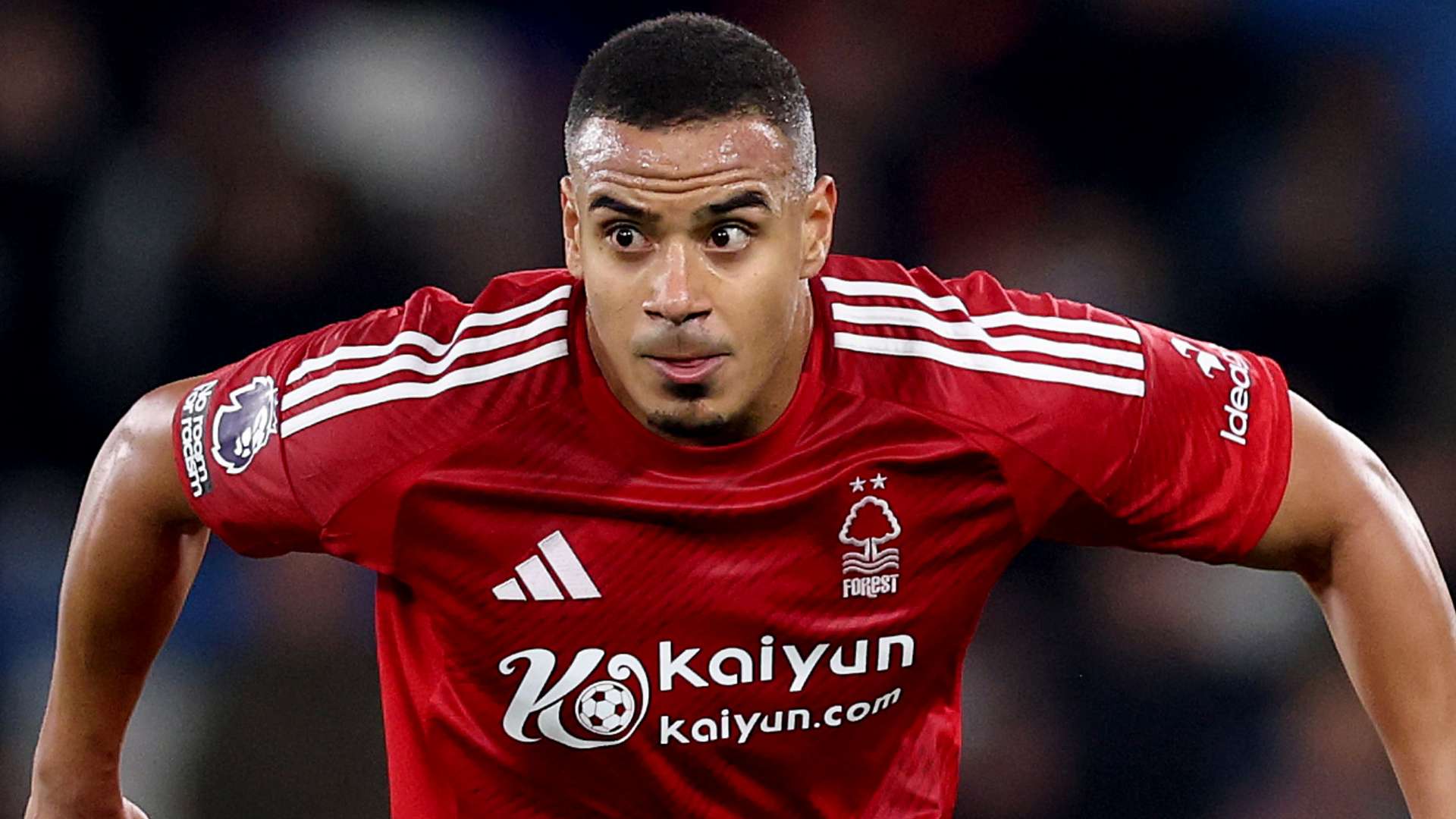 队秉持着数 队秉持着数